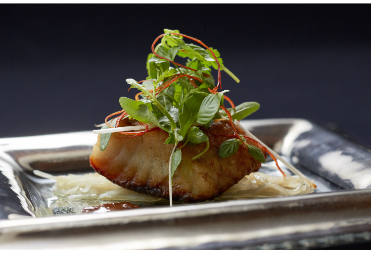 ▼【福コース】旬の新鮮食材が楽しめるランチコース 全6品